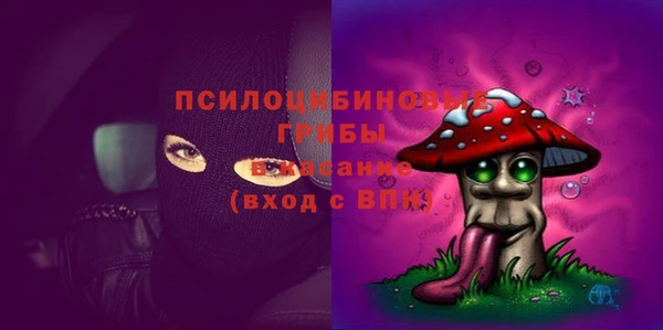 стаф Нефтегорск